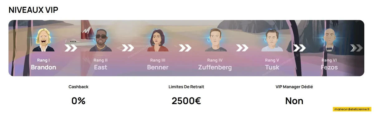 Exemple des niveaux du programme de fidélité Millionz