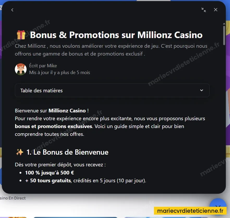 Fenêtre de discussion du service client Millionz